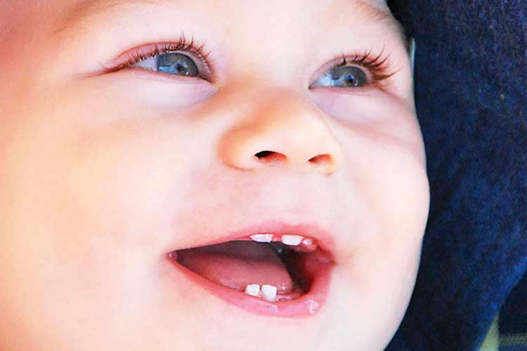 تایم لاین رشد دندان در کودکان